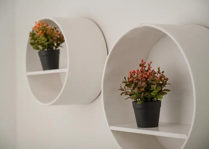 Premium In Ovo * Wrocław